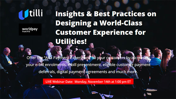Insights & Best Practices on Designing a World-Class Customer Experience for Utilities!  --- Ali, Shabbir & Laura