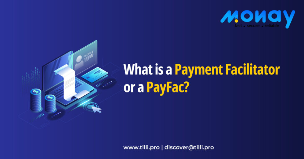 192 Understanding Payment Facilitator Or Payfac Youtube